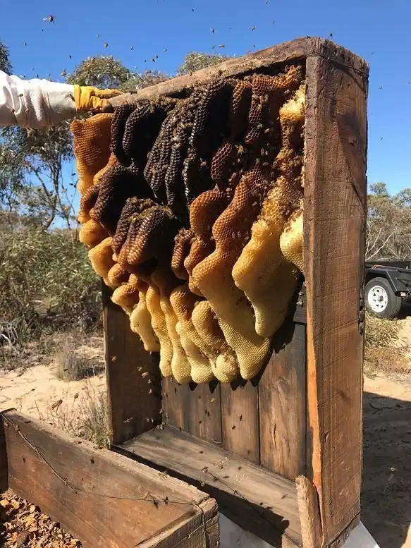 Необычные вещи, которыми наш мир может удивить