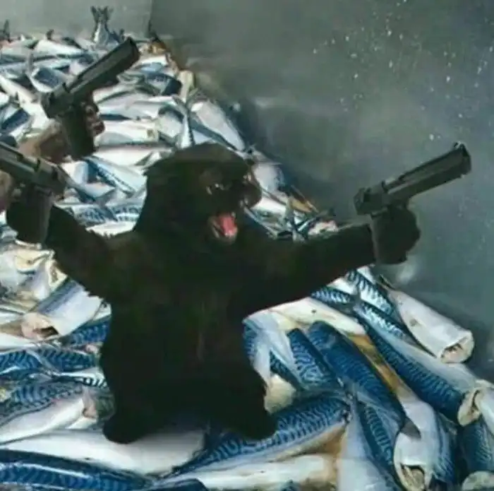 Мяу: коты в образе культовых режиссёров