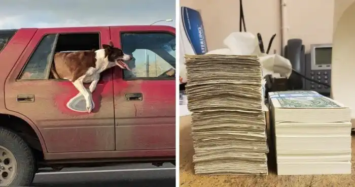 17 снимков вещей, на которых время оставило неизгладимый след