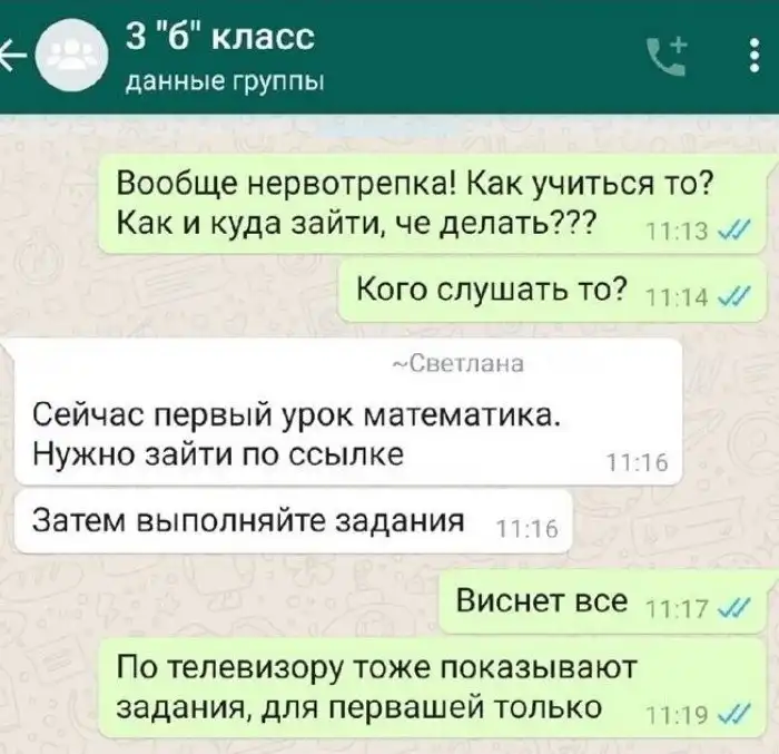 Кошмар и маты в родительских чатах: нервотрепка во время дистанционного обучения