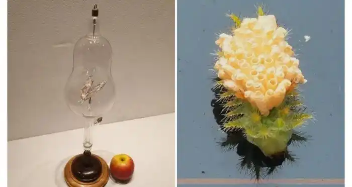 10 необычных штуковин, которые поставили людей в тупик