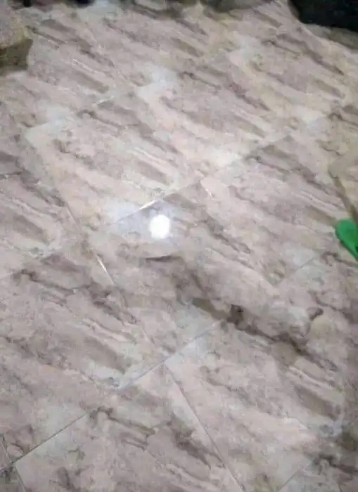 17 камуфляжных кадров, на разгадку которых уйдет больше 5 секунд