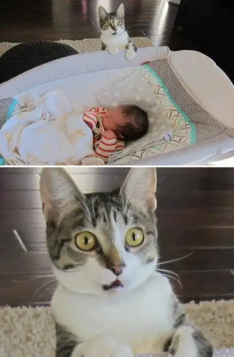 15 надутых персонажей, у которых завистливое око видит широко