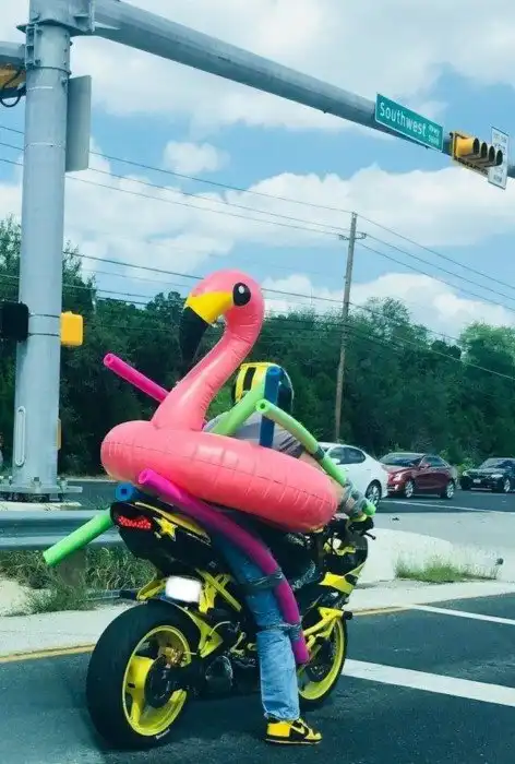 15 товарищей, которые смотрят на мир со своей колокольни