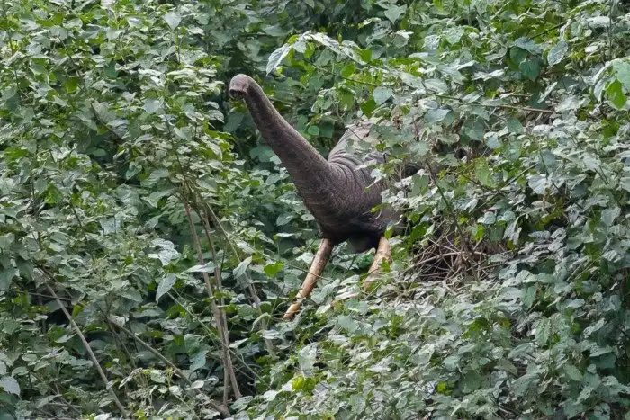 Лесной слон: Новый вид живых слонов был открыт лишь 10 лет назад. Как такое возможно?