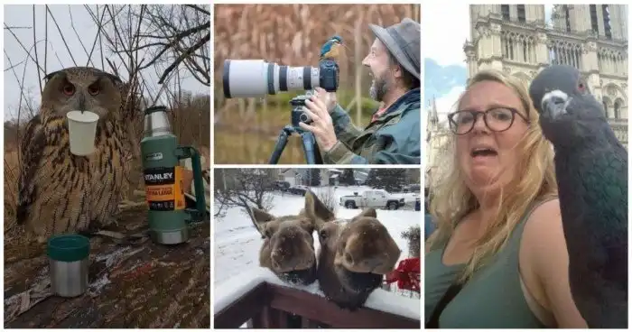 22 очень неожиданные встречи с животными