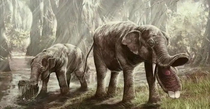 3 очень странных доисторических животных. Неудивительно, что они вымерли!