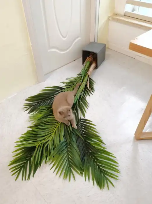 15 пушистых шкодников, которых мёдом не корми, только дай пошалить