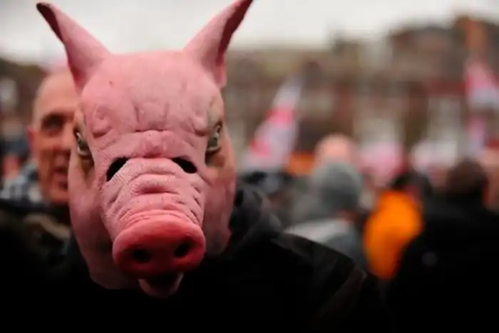 Почему евреи и мусульмане не едят свинину, а христиане едят