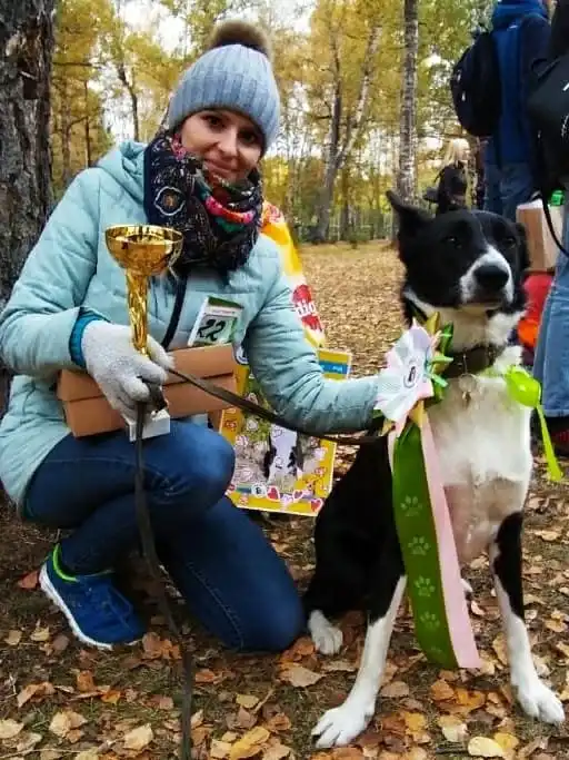 В поисках дома