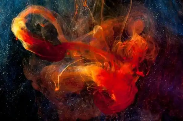 Завораживающие фотографии макромира