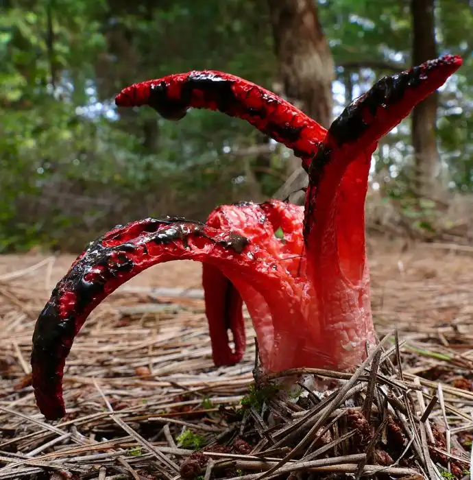 3 удивительные фотографии, которые позволят вам взглянуть на мир с другой стороны