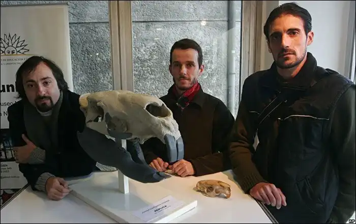 Джозефоартигасия: Укус силой в 400 кг! Грызун размером с бизона и весом в тонну