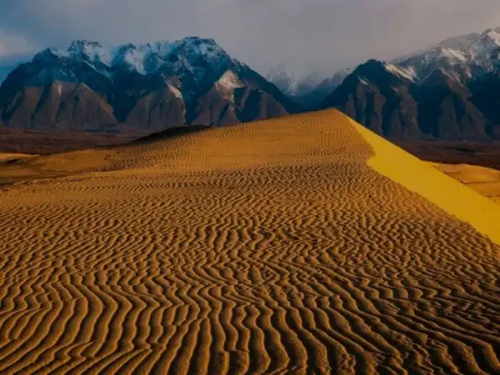 А вы знали, что в России есть пустыни? Где они находятся и откуда взялись?