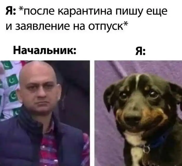 Особенности летнего отпуска россиян 2020 года