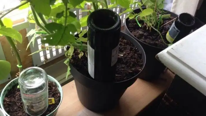 15 выдумщиков, чьи бытовые идеи рождаются прямо на ходу