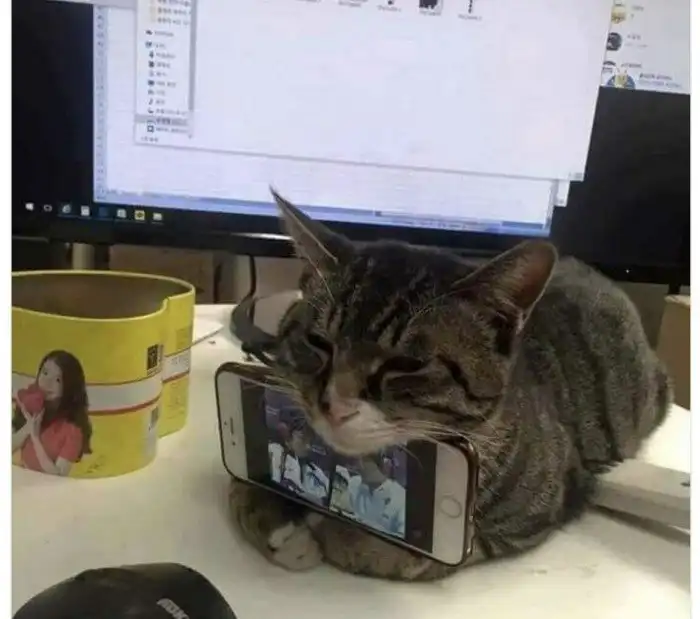 Санузел, совмещенный с кухней: планировки квартир, которые изумляют даже бывалых риелторов