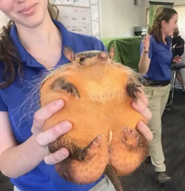 Все познается в сравнении