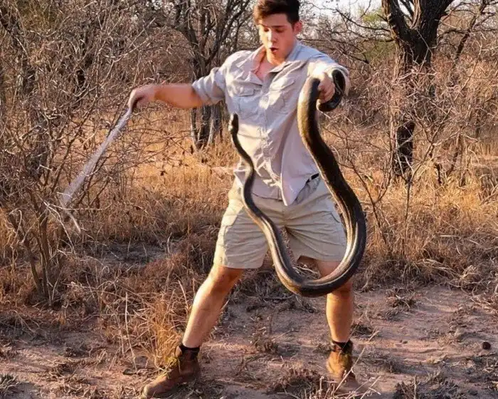 Чёрная мамба: Предупредительного выстрела не будет. Чем заканчивается встреча с Королевой Смерти?