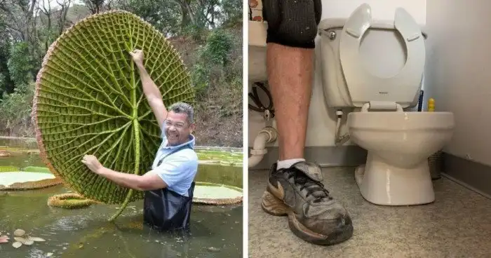 Удивительные вещи, всю крутость которых можно оценить только в сравнении