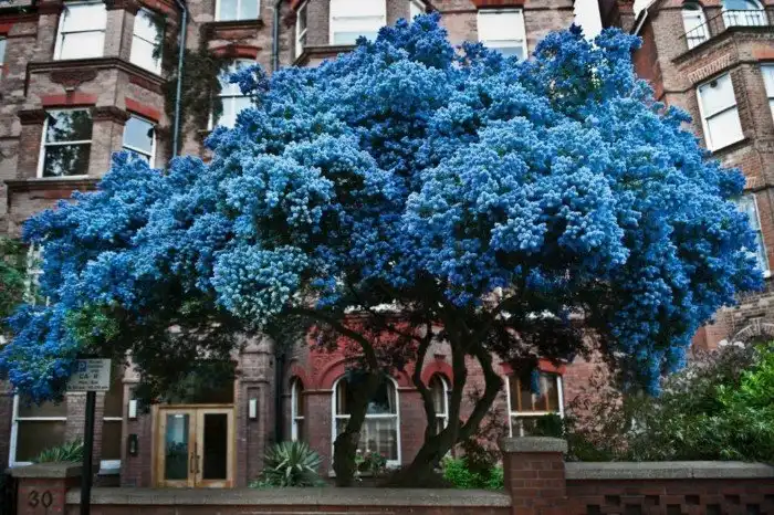 Капризы и чудеса природы, которые заставляют поверить, что мы уже не на Земле