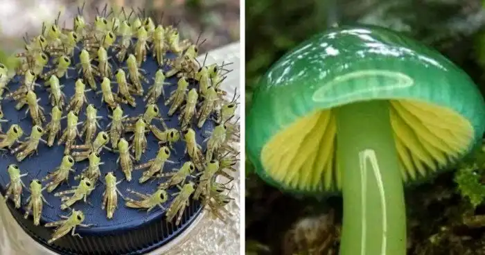 16 фотографий, которые докажут вам, что природа настоящий художник