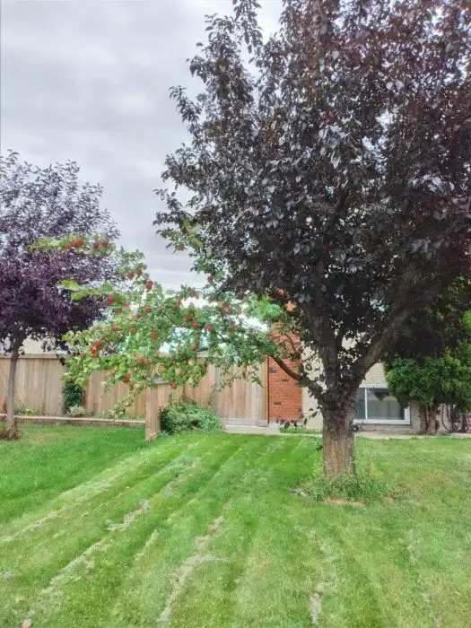 16 фотографий, которые докажут вам, что природа настоящий художник