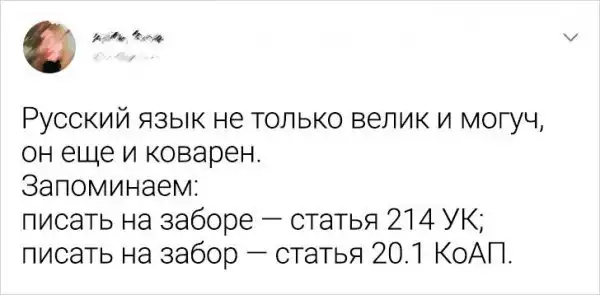 Подборка забавных твитов о русском языке