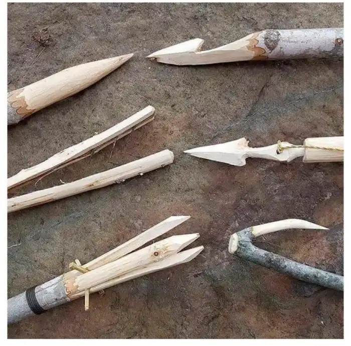 Руководство для выживания: спасительная древесина