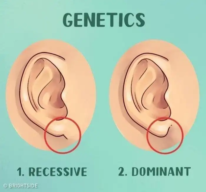 Как узнать, что ты приемный