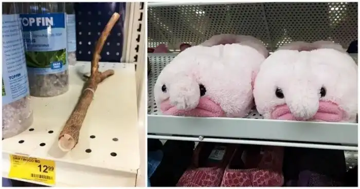 22 интересных и странных товара из магазинов разных стран