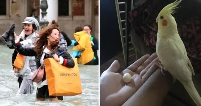 13 случаев, когда события повернулись неожиданной стороной