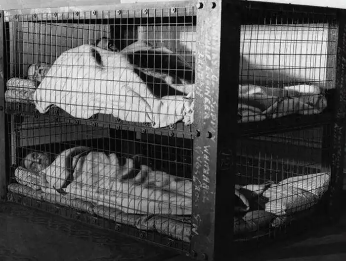 Почему в годы войны англичане спали в клетках?