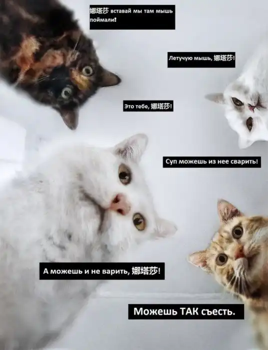 И смех и грех: тот самый лечебный коронавирусный юмор