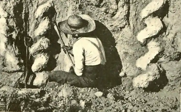 Тайна «дьявольских штопоров»