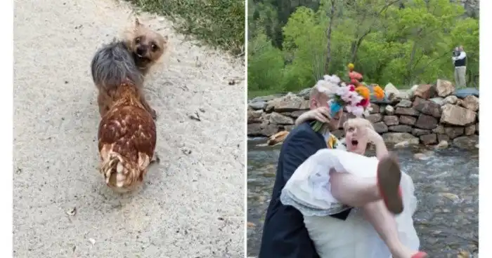 15 остросюжетных снимков, на которых разыгрывается нешуточная драма