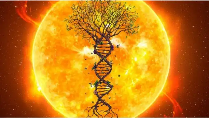 Возможна ли жизнь внутри звёзд?