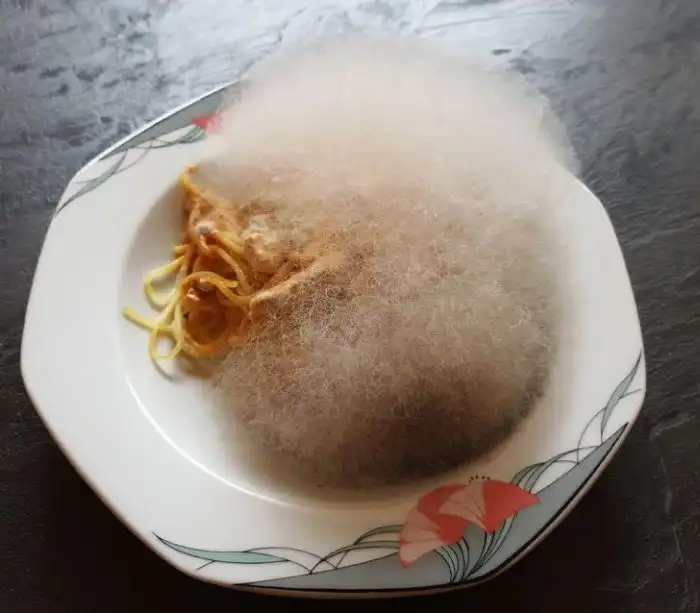 20+ фотографий, которые показывают, как время и обстоятельства влияют на вещи