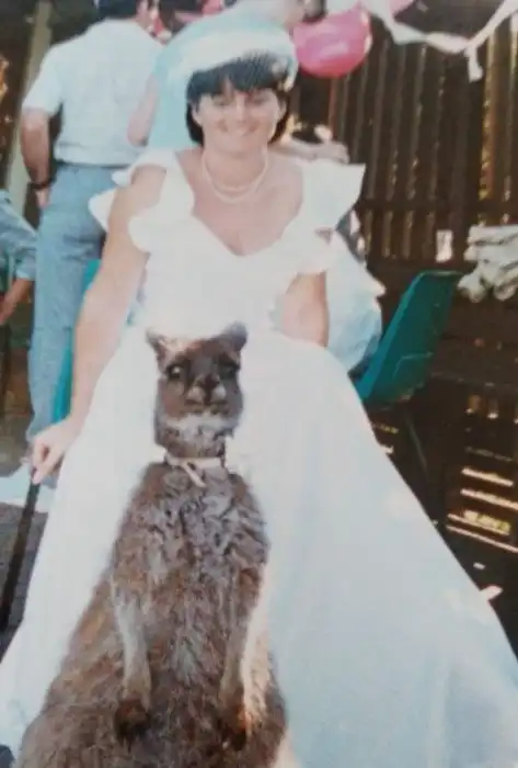 20 фото, которые показывают всю суть жизни в Австралии