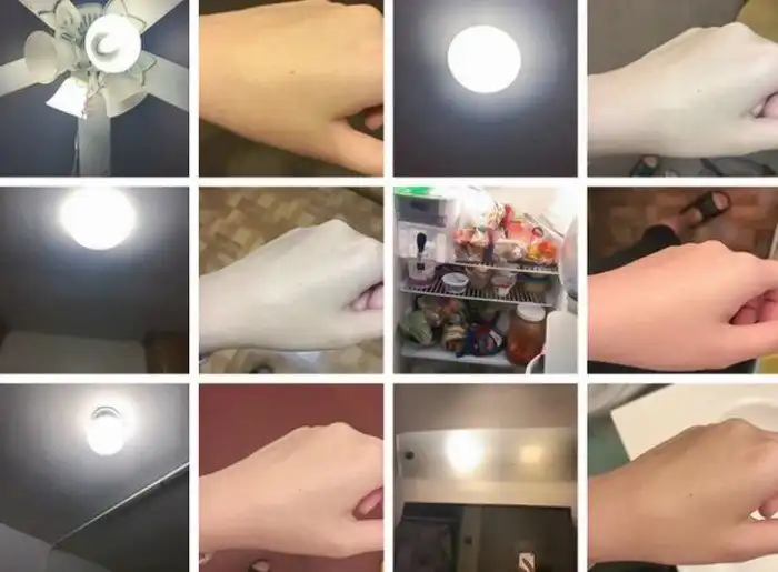 18 человек, которые могли бы написать научную работу о жизни вокруг