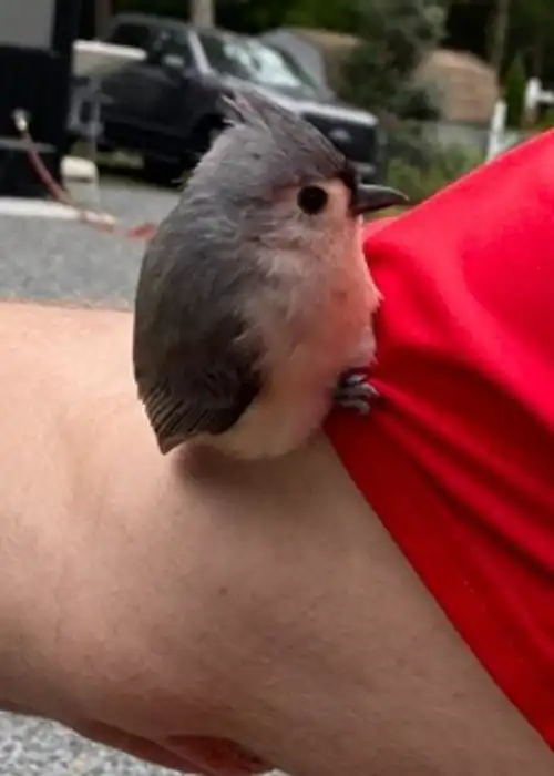 20 случаев, когда пользователям сети посчастливилось почувствовать себя диснеевской принцессой