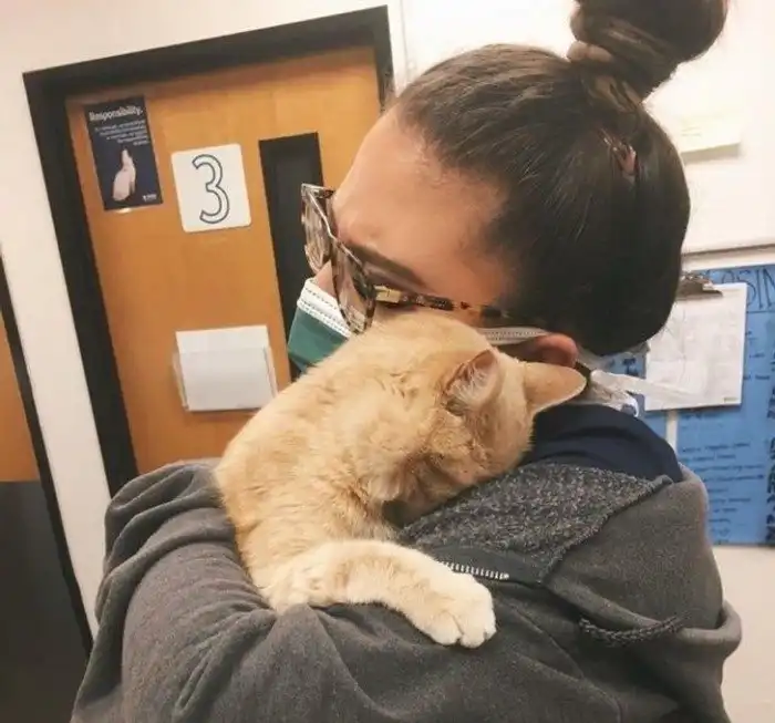 20 случаев, когда пользователям сети посчастливилось почувствовать себя диснеевской принцессой