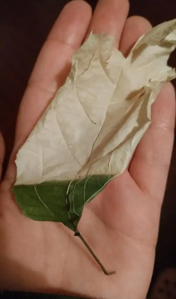 Подборка фотографий из серии "что будет, если..."