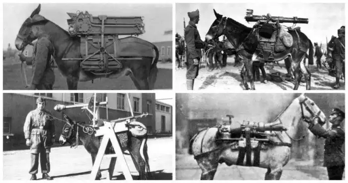 Вооружены и очень опасны: вьючные артиллерийские подразделения