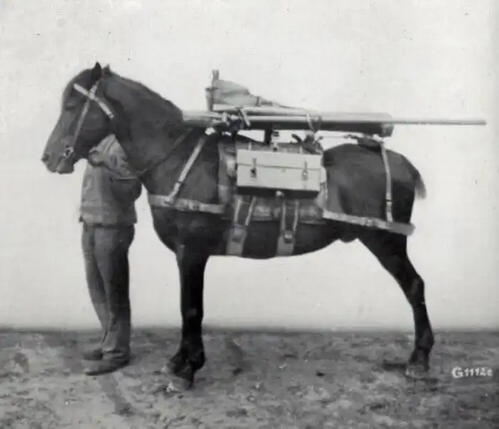 Вооружены и очень опасны: вьючные артиллерийские подразделения