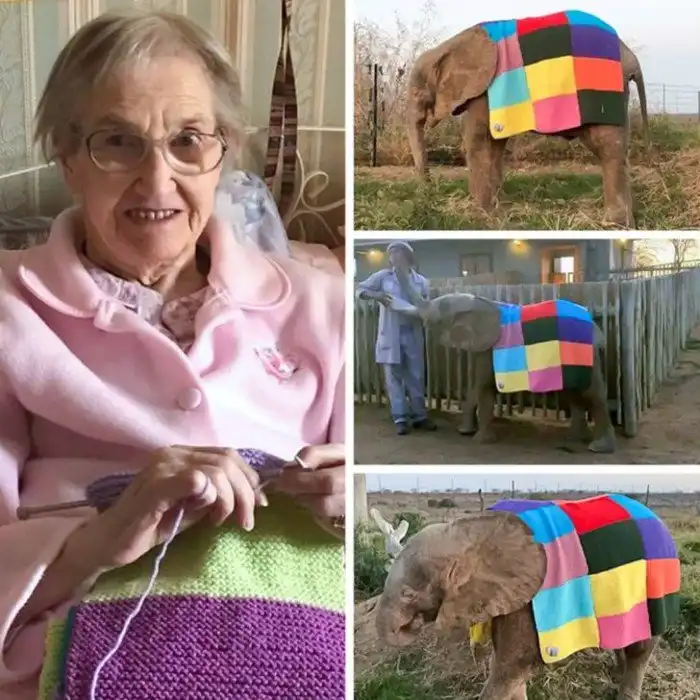 14 фото, которые под завязку наполнят ваш день радостью