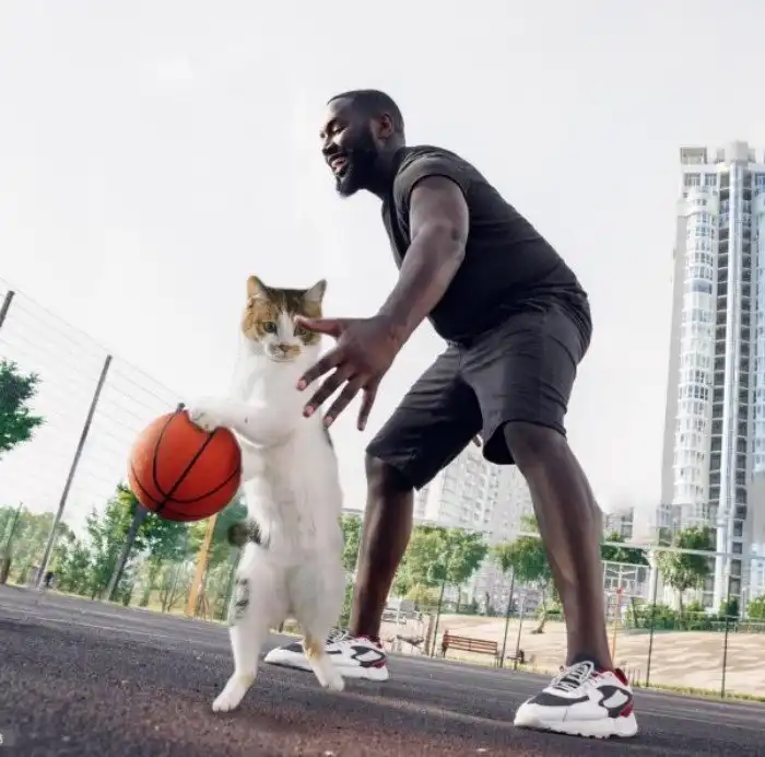 Кот-прыгун стал новым героем фотошоп-битвы в Сети