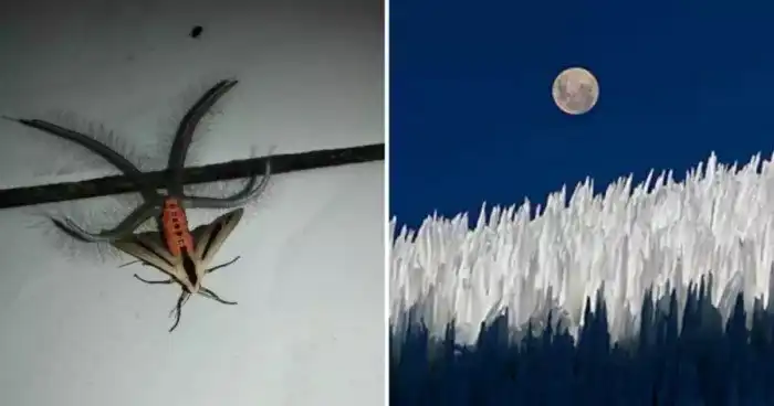 15 занимательных фотографий, для желающих расширить свой кругозор