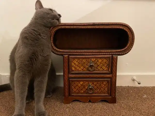 Объясните мне, что это за штука?