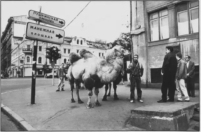 Винегрет исторических фото прошлого